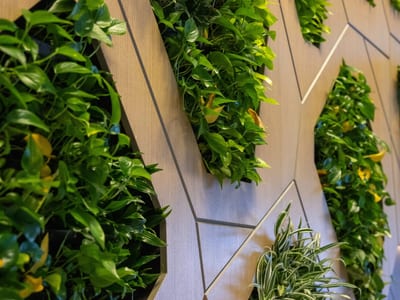 Westin Jackson signature living plant wall